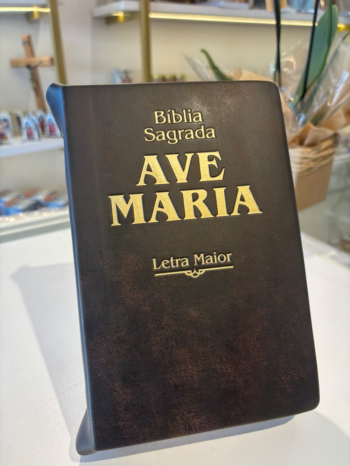 BIBLIA AVE MARIA LETRA MAIOR ZIPER MARROM