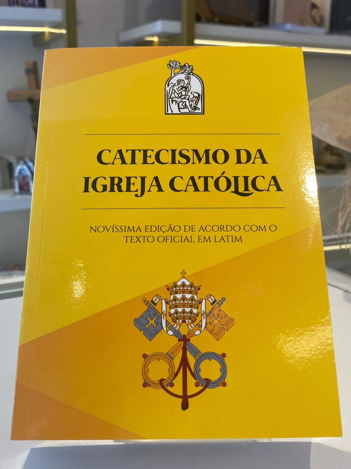 CATECISMO DA IGREJA CATÓLICA GRANDE