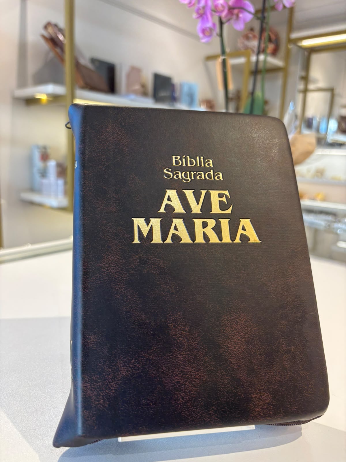BIBLIA AVE MARIA LETRA MEDIA ZIPER MARROM