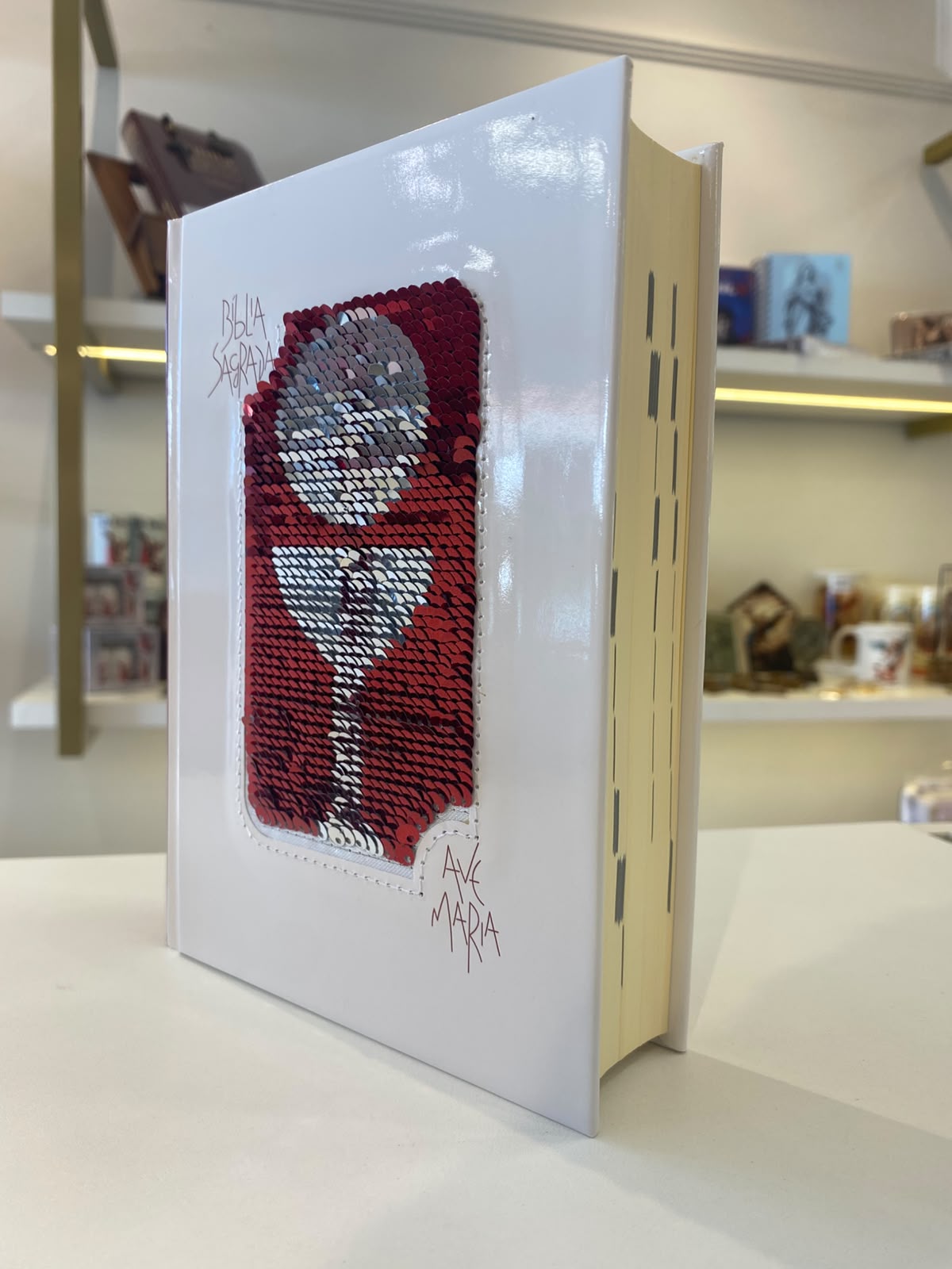 BIBLIA AVE MARIA CAPA LANTEJOULA